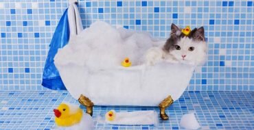 Шампуни для кошек