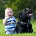 Маленький ребенок и собака фото