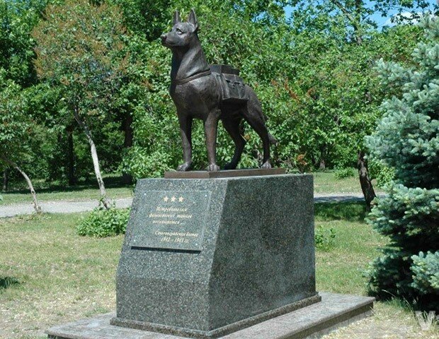 10 памятников собакам в России фото 